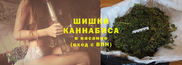 PSILOCYBIN Алзамай