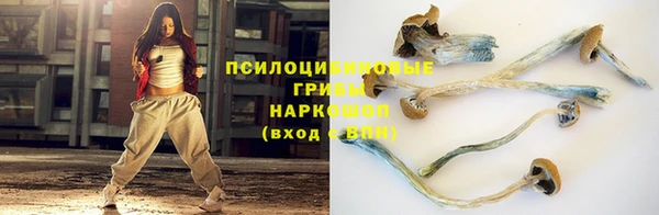 дурь Алексин