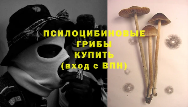 PSILOCYBIN Алзамай