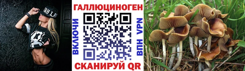 Псилоцибиновые грибы Psilocybine cubensis  Муром 